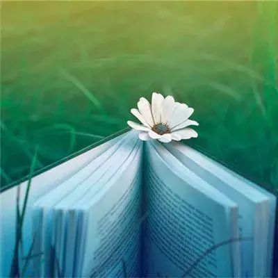 三生三世十里桃花3d测试服下载