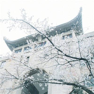 修真塔防战官方版下载